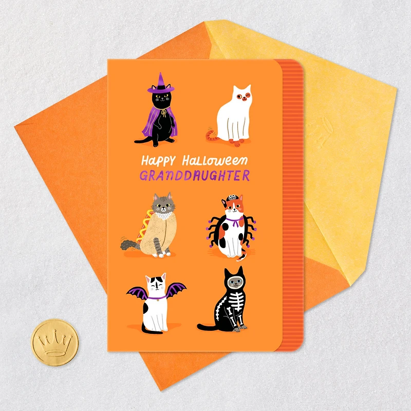 A Purr-fect Day Halloween Card for Granddaughter for only USD 3.99 | Hallmark