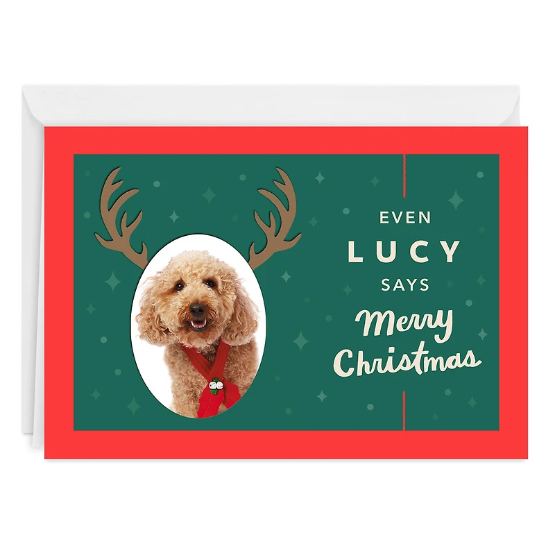 Reindeer Face Custom Christmas Card From Pet for only USD 4.99 | Hallmark