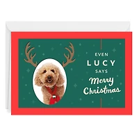 Reindeer Face Custom Christmas Card From Pet for only USD 4.99 | Hallmark