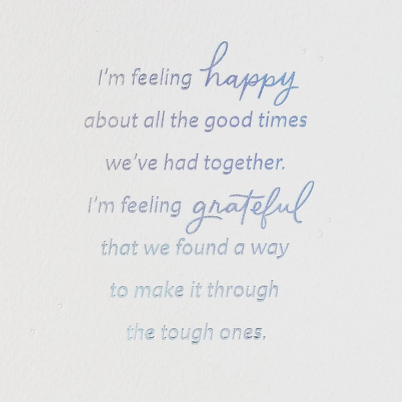 Feeling So Many Things 25th Anniversary Card for Spouse for only USD 6.99 | Hallmark