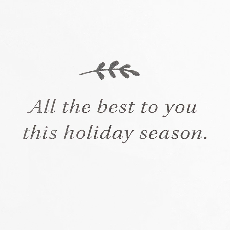 Poinsettias and Evergreen Boughs Packaged Christmas Cards, Set of 5 for only USD 5.00 | Hallmark