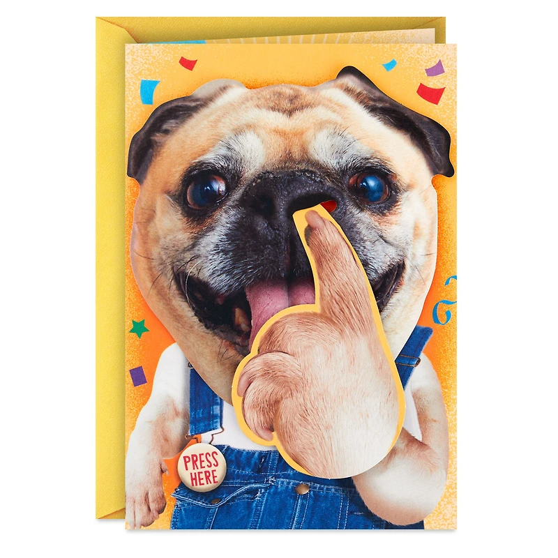 Pickin' and Grinnin' Funny Musical Birthday Card With Motion for only USD 9.99 | Hallmark