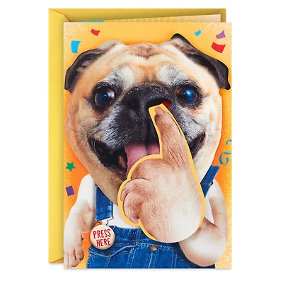 Pickin' and Grinnin' Funny Musical Birthday Card With Motion for only USD 9.99 | Hallmark