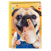Pickin' and Grinnin' Funny Musical Birthday Card With Motion for only USD 9.99 | Hallmark