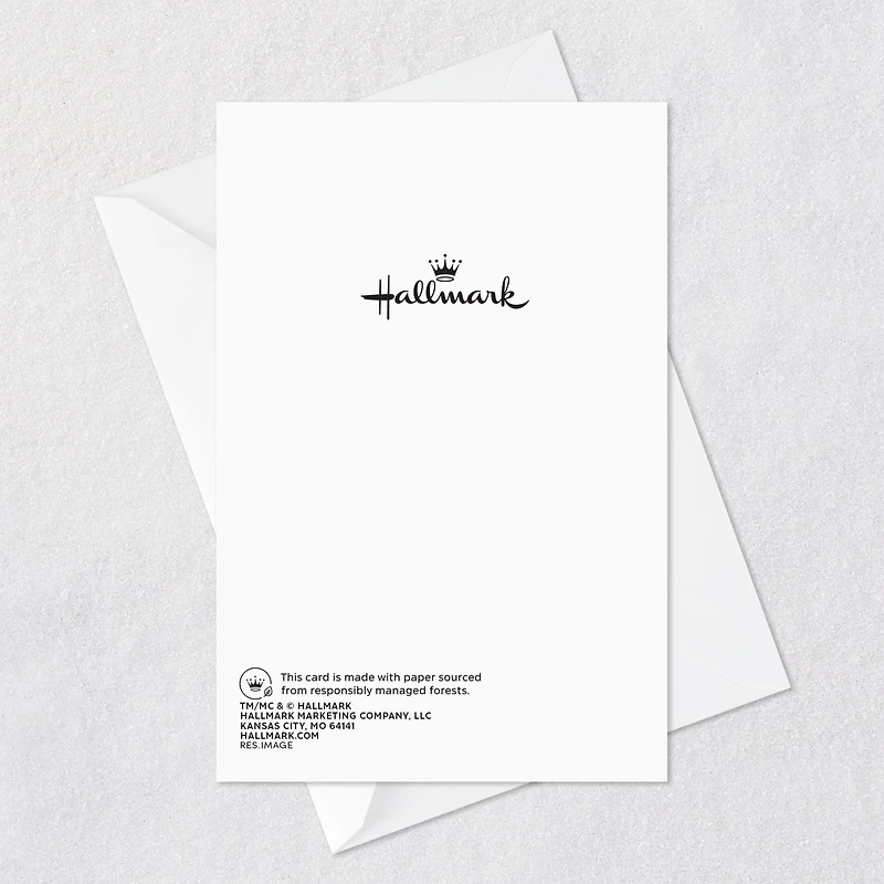 Warm Thoughts of You Thanksgiving Cards, Pack of 6 for only USD 5.99 | Hallmark