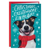 Christmas Excitement Boxed Christmas Cards, Pack of 16 for only USD 9.99 | Hallmark