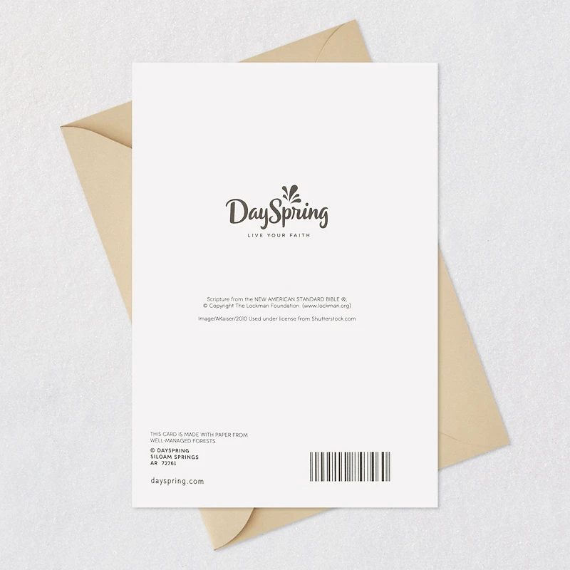 You're a Blessing Religious Birthday Card for Brother for only USD 4.99 | Hallmark