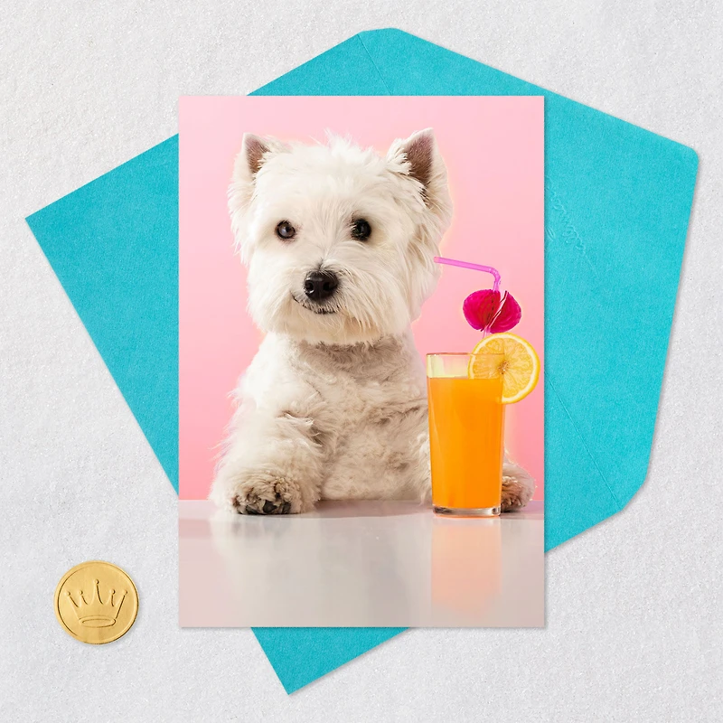 Classy and Sassy Funny Mother's Day Card for only USD 3.99 | Hallmark