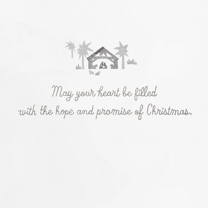 UNICEF Bethlehem Hope and Promise Boxed Christmas Cards, Pack of 12 for only USD 12.50 | Hallmark