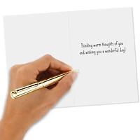 Warm Thoughts of You Thanksgiving Cards, Pack of 6 for only USD 6.99 | Hallmark