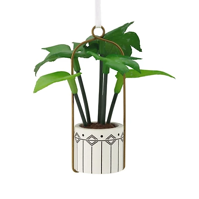 Hanging Houseplant Hallmark Ornament for only USD 14.99 | Hallmark