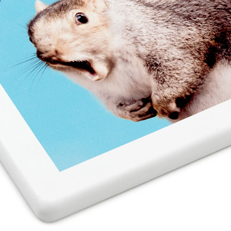 Singing Squirrel Photo Funny Coaster for only USD 6.99 | Hallmark