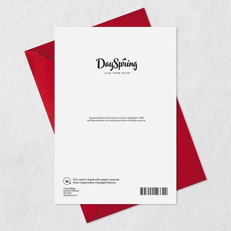 Thank You for All You Do Religious Christmas Card for Pastor for only USD 2.99 | Hallmark
