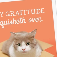 My Gratitude Squisheth Over Thank You Card for only USD 2.99 | Hallmark