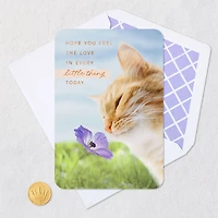 Hope You Feel the Love Today Card for only USD 2.99 | Hallmark