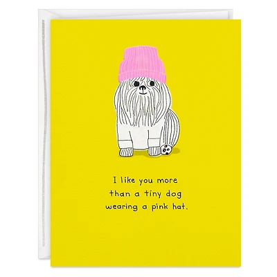More Than a Tiny Dog Card for only USD 3.99 | Hallmark