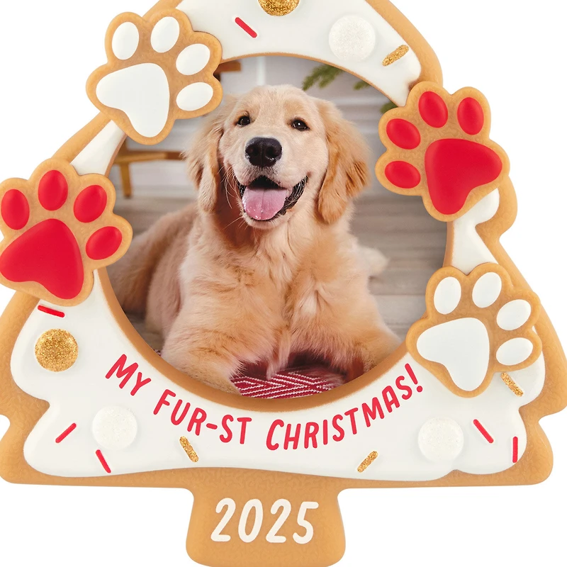 My Fur-st Christmas 2025 Photo Frame Ornament for only USD 19.99 | Hallmark