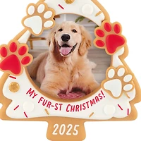 My Fur-st Christmas 2025 Photo Frame Ornament for only USD 19.99 | Hallmark