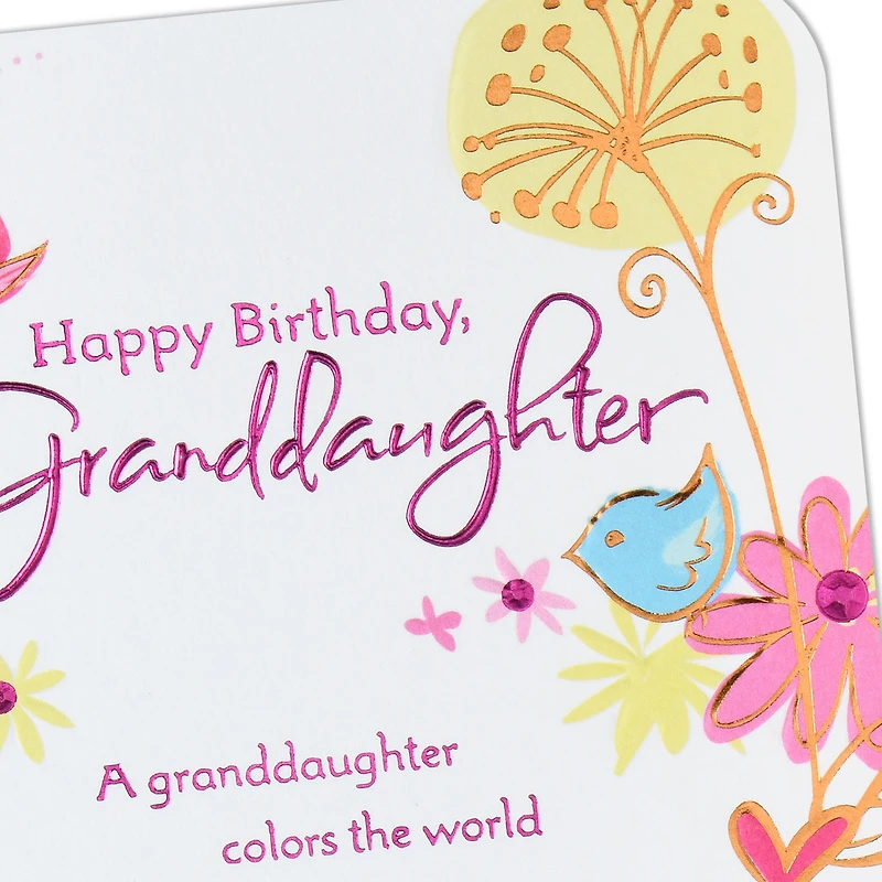 So Much to Love About You Birthday Card for Granddaughter for only USD 5.59 | Hallmark