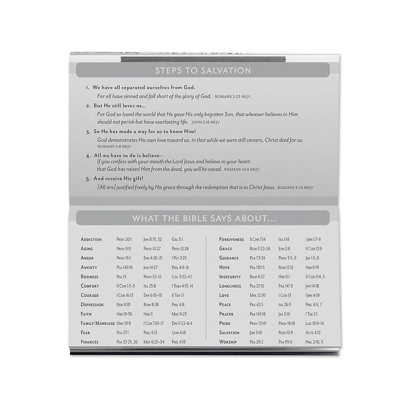 Beach Scene 2027-2028 Inspirational Pocket Planner, 28-Month for only USD 4.99 | Hallmark