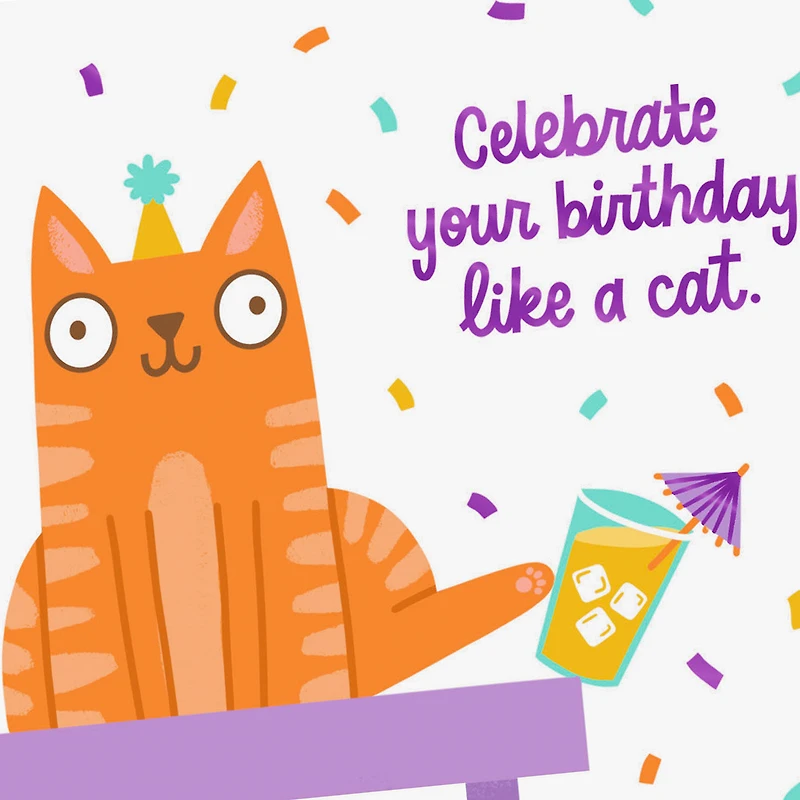 Do Anything You Damn Well Want Funny Birthday Card for only USD 4.49 | Hallmark