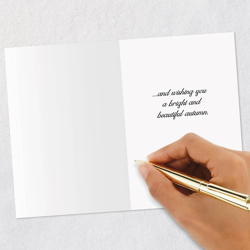 Autumn Pumpkins and Leaves Thinking of You Cards, Pack of 6 for only USD 4.99 | Hallmark