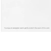 Greenery Wreath Pine-Scented Boxed Christmas Cards, Pack of 12 for only USD 20.49 | Hallmark