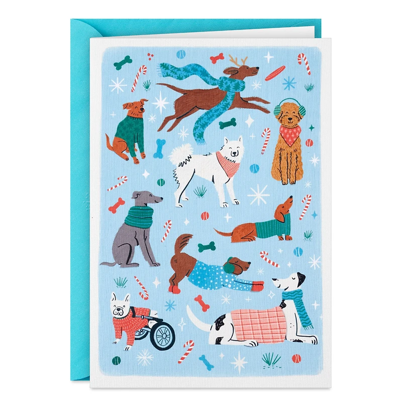 Festive Dogs on Blue Packaged Christmas Cards, Set of 5 for only USD 5.00 | Hallmark
