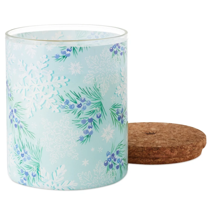 Chilled Mint and Vanilla Scented 2-Wick Jar Candle, 14.5 oz. for only USD 19.99 | Hallmark