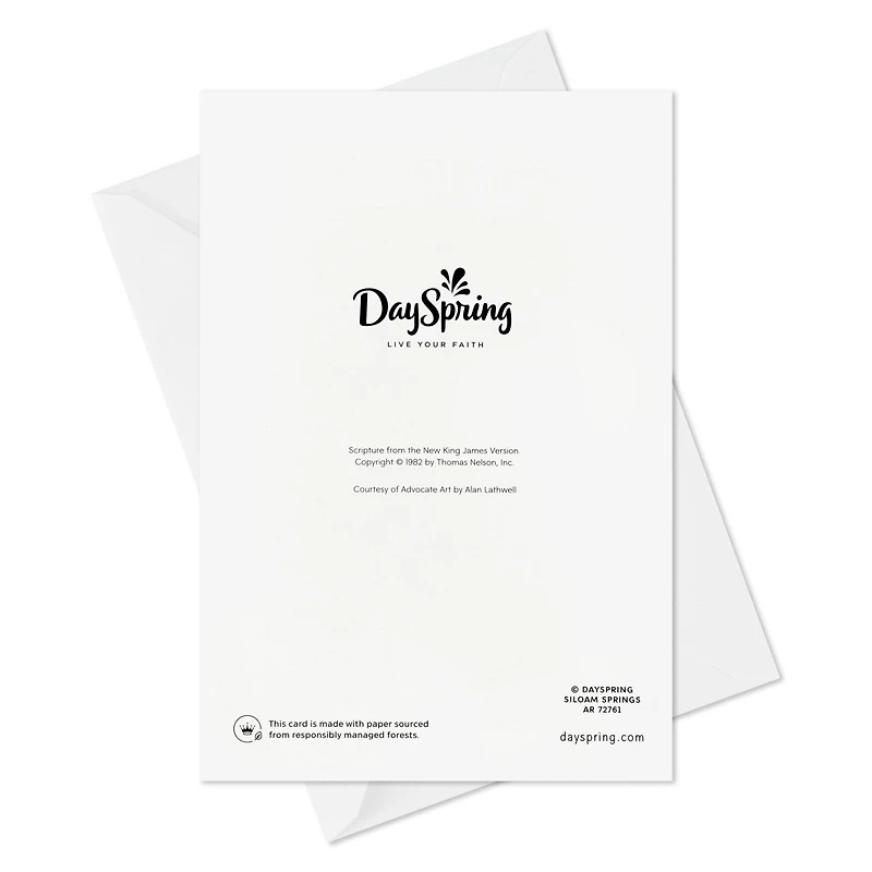 DaySpring A Savior Born to You Boxed Christmas Cards, Pack of 16 for only USD 15.49 | Hallmark