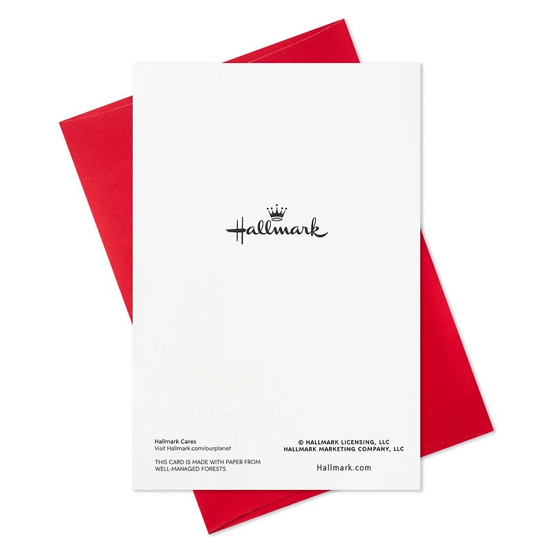 Poinsettias and Evergreen Boughs Packaged Christmas Cards, Set of 5 for only USD 5.00 | Hallmark