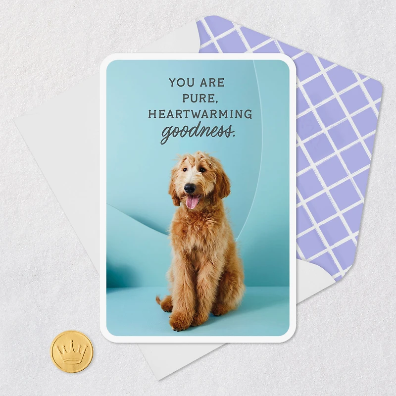You Are Pure Goodness Thank You Card for only USD 2.99 | Hallmark