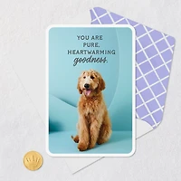 You Are Pure Goodness Thank You Card for only USD 2.99 | Hallmark