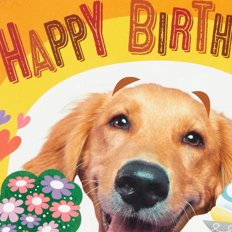 The Hero We Depend On Pop-Up Birthday Card for Dad for only USD 6.99 | Hallmark