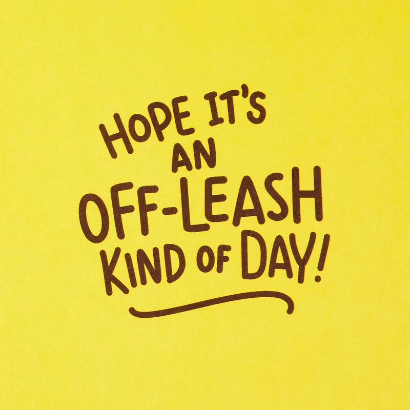 Have an Off-Leash Kind of Day Funny Birthday Card for only USD 3.99 | Hallmark