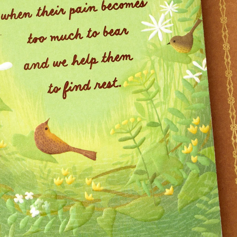 They Know When They're Loved Sympathy Card for Loss of Dog for only USD 4.59 | Hallmark