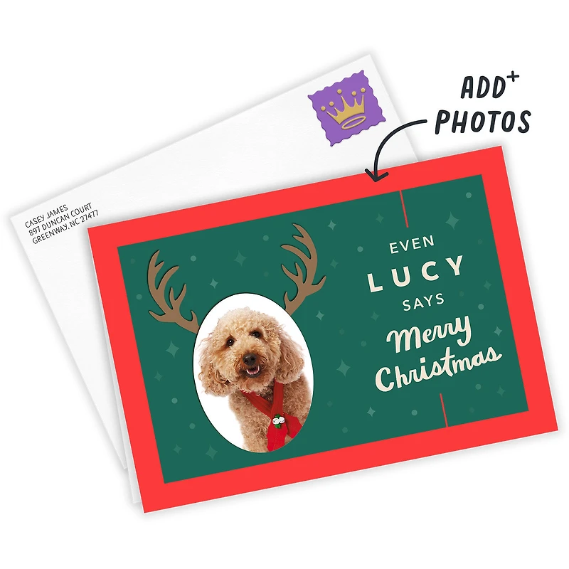 Reindeer Face Custom Christmas Card From Pet for only USD 4.99 | Hallmark