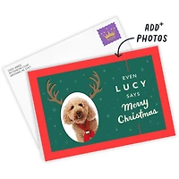Reindeer Face Custom Christmas Card From Pet for only USD 4.99 | Hallmark