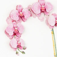 Little Reminder of Love Mother's Day Card for only USD 7.59 | Hallmark