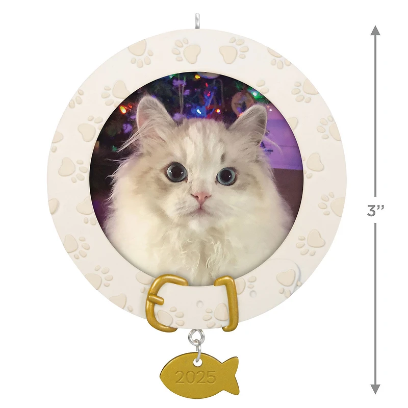 Furry Friend 2025 Personalized Ornament, Custom Photo for only USD 24.99 | Hallmark