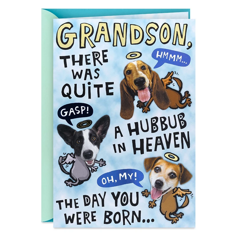 Handsome and Intelligent Funny Pop-Up Birthday Card for Grandson for only USD 4.99 | Hallmark