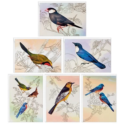 Vintage Bird Artwork Assorted Notes, Pack of 24 for only USD 15.99 | Hallmark