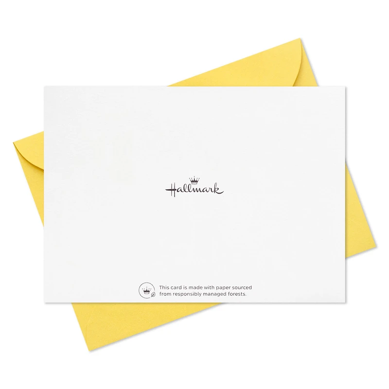 Ray of Sunshine Blank Note Cards, Pack of 5 for only USD 5.00 | Hallmark