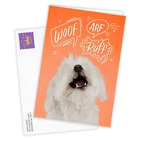 Dog Speak Funny Custom Card for only USD 4.99 | Hallmark