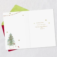 Merry Wishes Christmas Card for only USD 3.99 | Hallmark