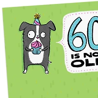 60 Is Not Old Funny 60th Birthday Card for only USD 4.49 | Hallmark