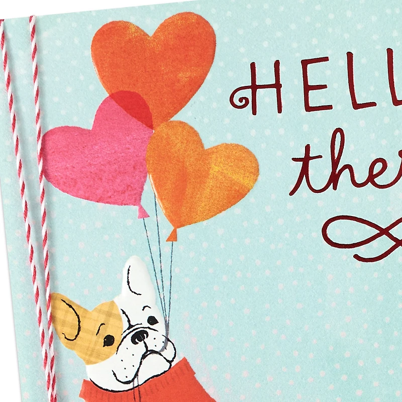 Hello There Wish Valentine's Day Card for only USD 4.99 | Hallmark
