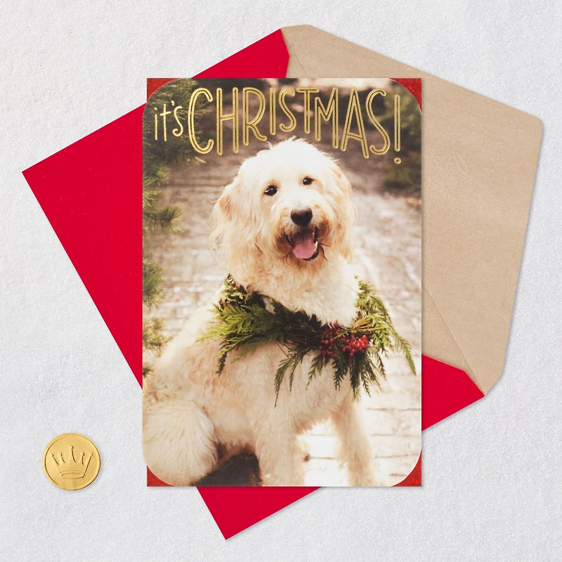 Warm and Fuzzy Holiday Wishes Christmas Card for only USD 5.59 | Hallmark