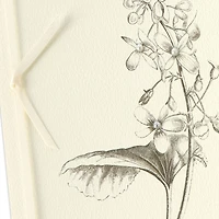Black-and-White Botanical Drawing Blank Card for only USD 6.99 | Hallmark