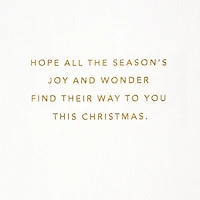 Believe Christmas Card for only USD 6.59 | Hallmark